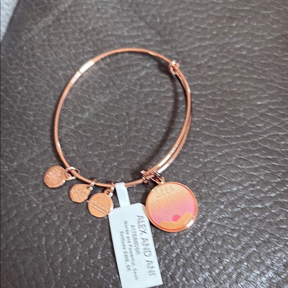 Alex and ani rose color metal “seek sollitute” charm bracelet